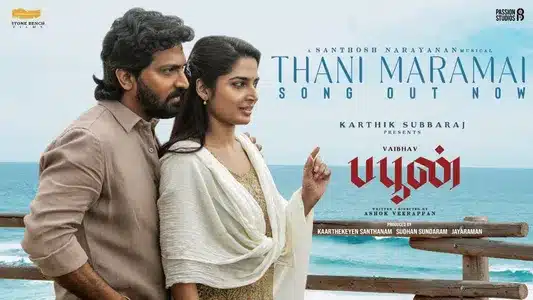 Thani Maramai Lyrics Meaning | Buffoon | Pavithra Ramesh | Santhosh Narayanan