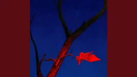 Thu Đợi Lyrics Translation | Nổ | Itsnk | Wren Evans