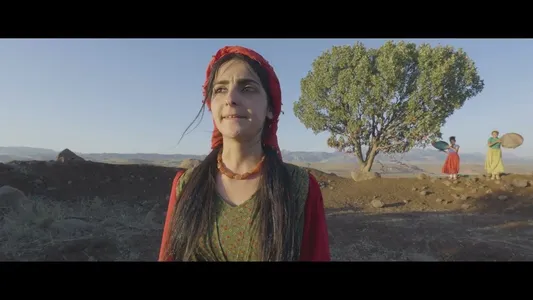 Tol Lyrics (English Meaning) – Mufîde Hemdî | Zeyneb Mensûr