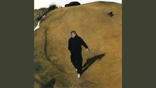 Top Dawg Lyrics English Translation – Quattro: La Famiglia | Alblak 52 | Icegergert