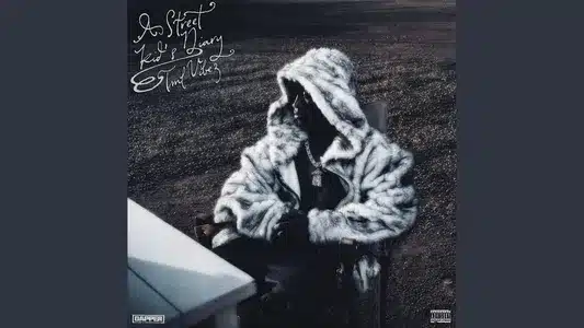 Trap Lan Je Lyrics Meaning — A Street Kid's Diary | Tml Vibez