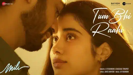 Tum Bhi Raahi Lyrics English Meaning – Mili | Ar Rahman | Shashaa Tirupati