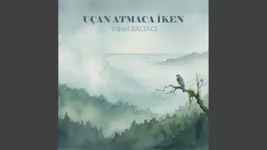 UçAn Atmaca İKen Lyrics Meaning (in English) – Yüksel Baltacı