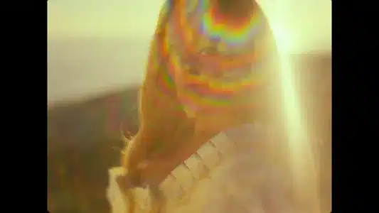 Única Lyrics (with English Meaning) | Karol G | Tainy