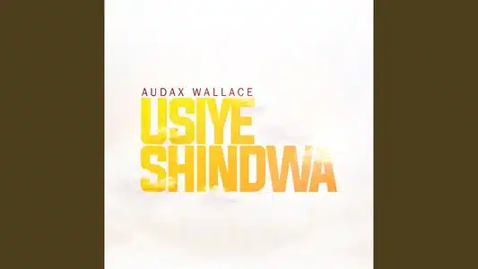 Usiyeshindwa Lyrics {English Translation} – Audax Wallace