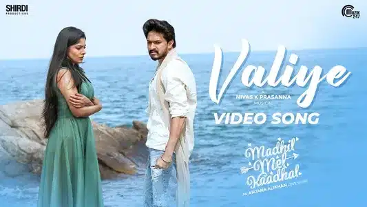 Valiye Lyrics Meaning: Madhil Mel Kaadhal | Nivas K Prasanna