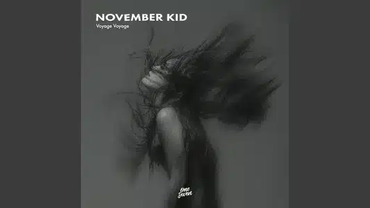 Voyage Voyage Lyrics With English Translation - November Kid