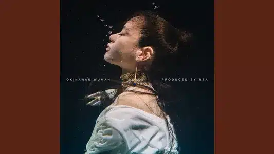 Wax On Wax Off (Feat. R Shitei, Nene, Chinza Dopeness & C.O.S.A.) [-Japan Remix-] Lyrics English Translation – Okinawan Wuman | Awich | Rza