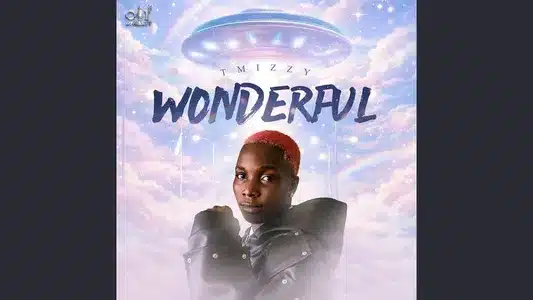 Wonderful Lyrics {English Meaning} | Tmizzy Mrhorrizen