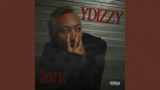 2026 (Feat. Mikado) Lyrics Translation: Ii0Iivi (Deluxe) | Ydizzy