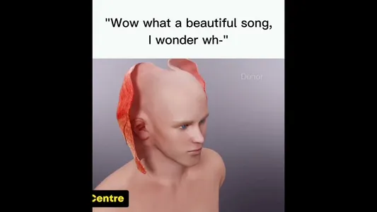 After Young Lyrics English Meaning | Pixel | I'm