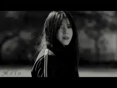 爱怎么了 Lyrics With English Translation – 陈村长