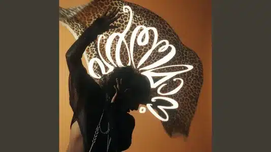 Aliyum Lyrics Translation — Varthamanam | Aksomaniac | Damini Bhatla