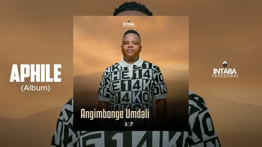 Angimbonge Umdali Lyrics Translated to English | Intabayasedubai