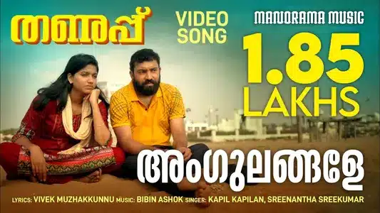 Angulangale Lyrics Meaning — Thanupp | Bijibal