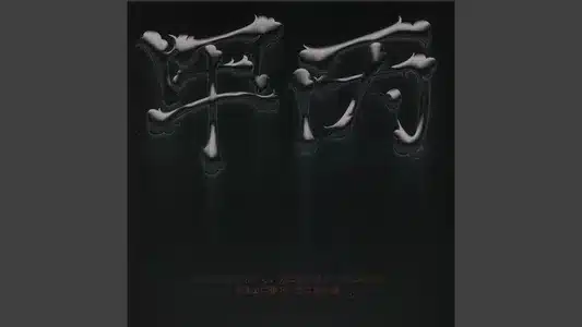 Anyhow (Feat. Zene The Zilla) Lyrics {English Meaning}: Gist | Toil