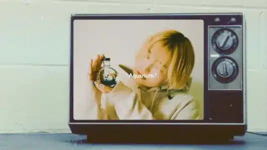 Aquarium Lyrics English Translation – Luminous | Hannah Warm