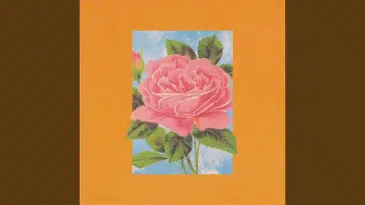 Bassiani Lyrics {English Translation} | Soppgirobygget