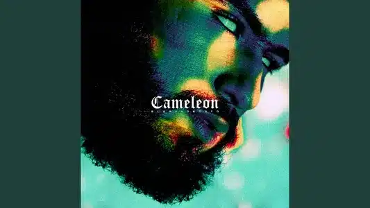 Bent Nass Lyrics Meaning – Caméléon | Elgrandetoto