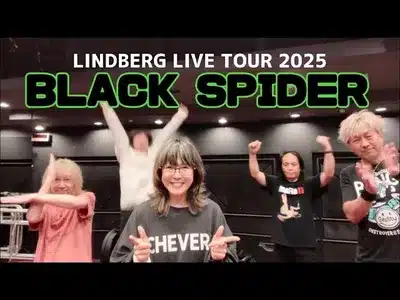 Black Spider Lyrics With English Meaning – Lindberg