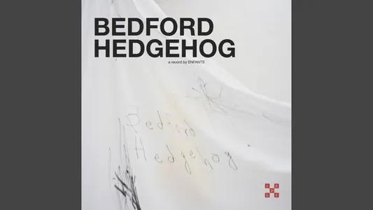 Born Under Lyrics Translation — Bedford Hedgehog | Enfants