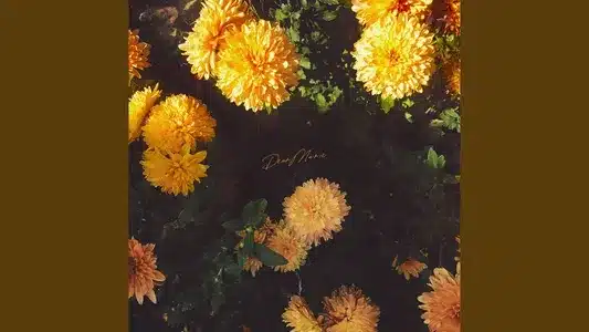 Dear Marie Lyrics Translation: Celeste | Myuk