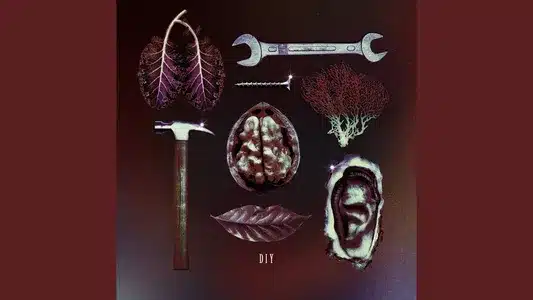 Diy Lyrics With English Translation: Meiyo Densetsu