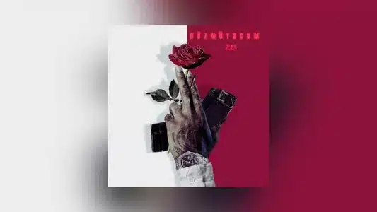 Dözmüyəcəm Lyrics {English Meaning} - X13Əhram