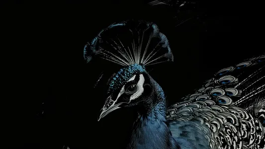 El Neyya Lyrics English (Translation): Lege-Cy