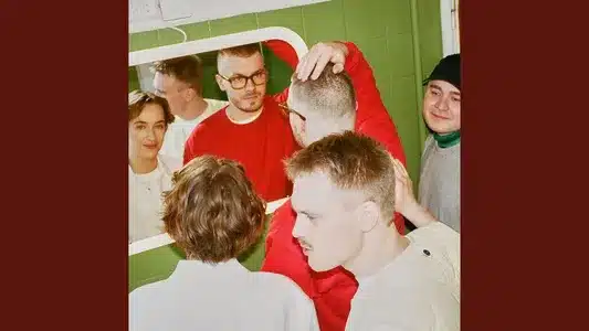 Elsker Dig Så Meget Lyrics Meaning – Dine Venner | Blæst