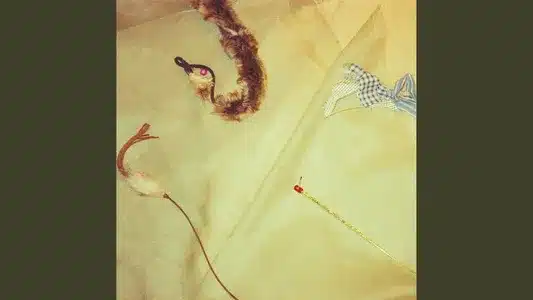 Fig Lyrics Translation — Ginger Cat Appreciation | Nekosen