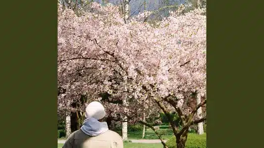 Gav Det Et Skud Lyrics {English Meaning}: August Høyen