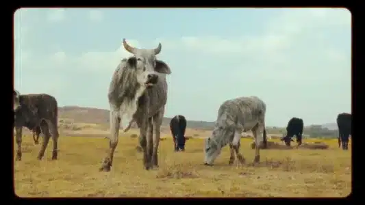 Grounding Lyrics Translation — Isibuko | Delayde | Sjava