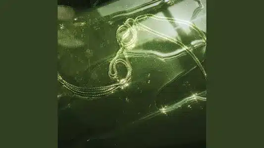 Halskæde Lyrics English (with Translation) - Guldimund