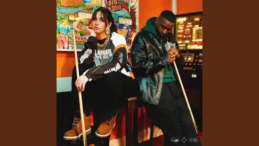 Hele Vejen (Feat. Mumle) Lyrics Meaning (in English) – Omar