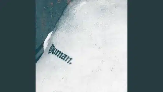 Human. Lyrics Translation (in English): Hikage