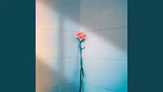 Ichirinka Lyrics Meaning (in English) — Cafune