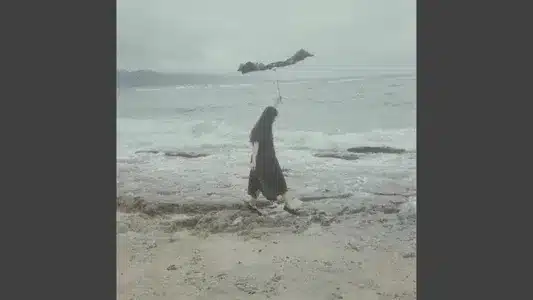 If We Meet Again Here Lyrics [English Translation]: Sonohara Arisa