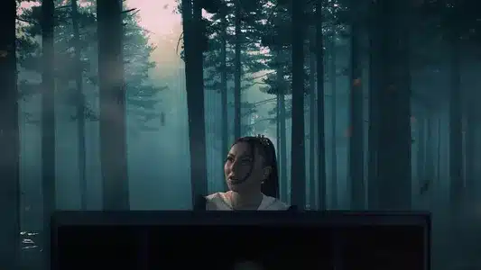 Je Pense À Vous Lyrics Translation - Boîte À Musique | Linh