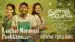 Kaathal Marangal Pookkane Lyrics Translation – Pranaya Vilasam | Shaan Rahman | Sreejish Subramanian
