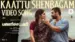 Kaattu Shenbagam Lyrics English Translation: Pallichattambi | Akhil J. Chand | Jakes Bejoy