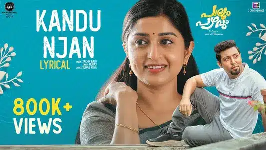 Kandu Njan Lyrics Translation | Palum Pazhavum | Mubas | Suhail Koya