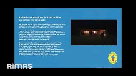 Lo Que Le Pasó A Hawaii Lyrics Translation - Debí Tirar Más Fotos | Bad Bunny