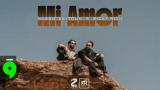 Mi Amor Lyrics (with English Meaning): Nassif Zeytoun | Ricky Rich