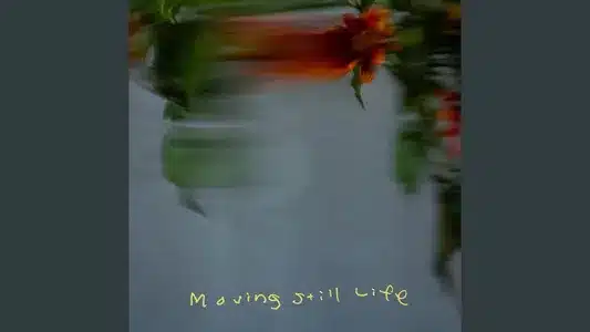 Moving Still Life Lyrics Translation (in English) | Cero