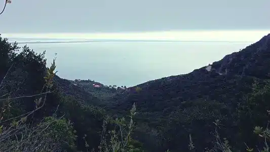 Nem Tudo É Mágoa Lyrics Meaning | Foz | Tiago Bettencourt