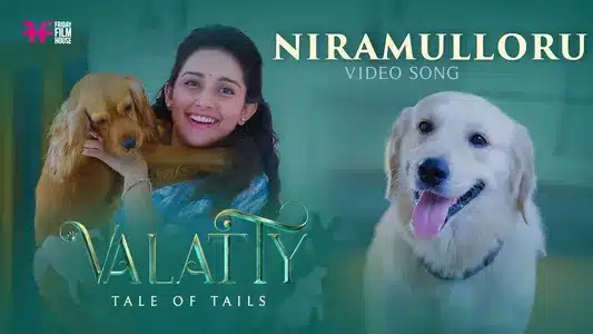 Niramulloru Lyrics English Meaning: Valatty | Santhosh Varma | Varun Sunil