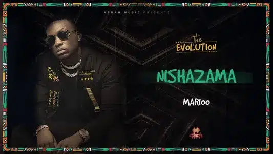 Nishazama (Feat. Marioo) Lyrics Meaning - The Evolution | Abbah