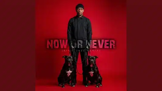 Now Or Never (Rivic Jazz Remix) Lyrics English (Translation) | Sankomota