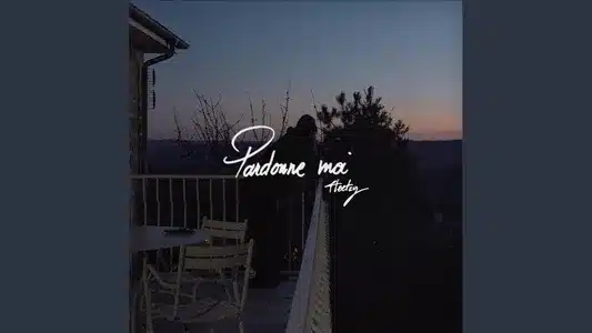 Pardonne Moi Lyrics (English Meaning) — Fleetzy